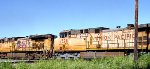 UP 6528